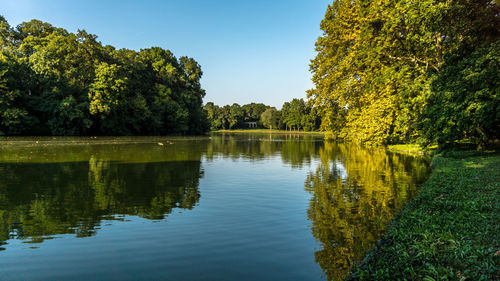 Scenic view of lake by trees against sky