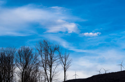 Low angle view of bare trees against blue sky