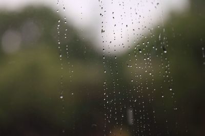 Close-up of water drops on ground