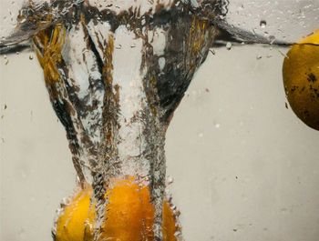 Close-up of water drops on leaf