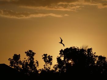 Low angle view of silhouette bird flying against sky during sunset