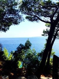 Scenic view of sea and trees against clear sky