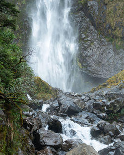 Scenic view of waterfall in forest