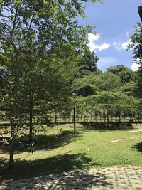 Trees on landscape against sky