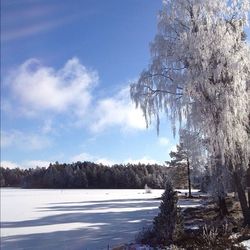 Snow covered landscape