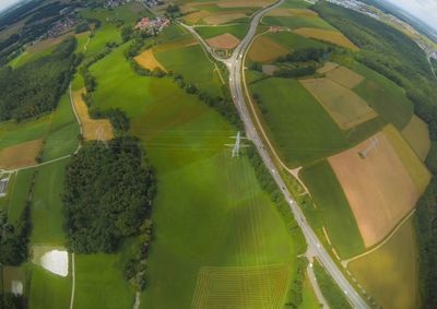 Scenic view of agricultural field