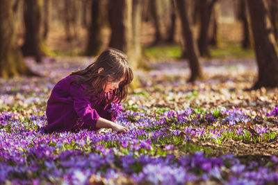 Rear view of woman with pink flower petals on field