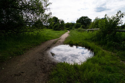 Stream amidst trees on field against sky