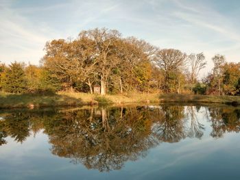 Reflection of trees in lake against sky