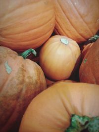 Full frame shot of pumpkins for sale