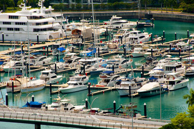 High angle view of boats moored in harbor