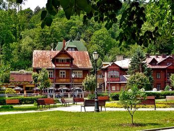 Houses and trees in lawn