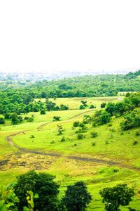 Scenic view of landscape against clear sky