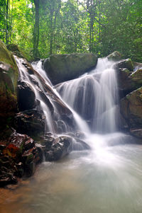 Scenic view of waterfall in forest