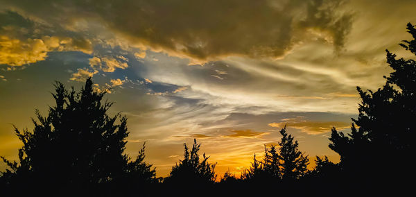 Low angle view of silhouette trees against sky during sunset