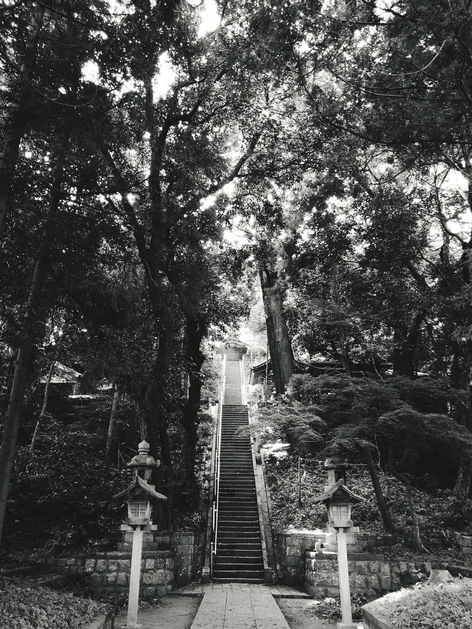 VIEW OF STAIRS IN PARK