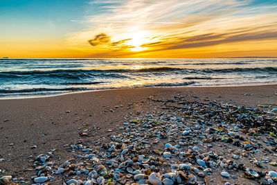 Beautiful baltic sea pictures