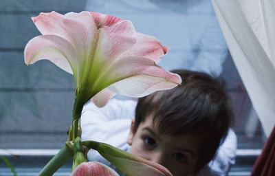 Close-up of beautiful flower