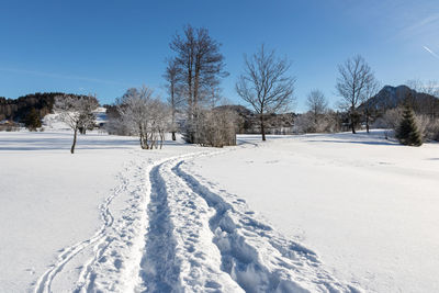 Snow covered field against sky