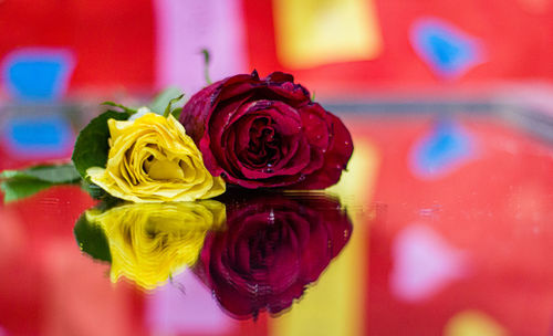 Close-up of rose bouquet