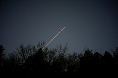 Low angle view of trees against sky
