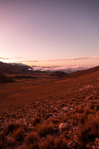 Scenic view of landscape against sky during sunset