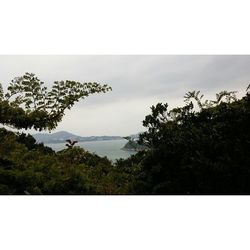 Scenic view of river against sky