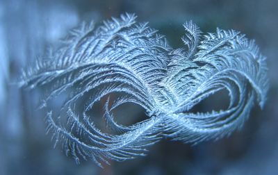 Close-up of frost on glass window