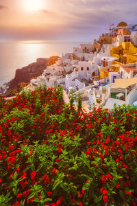 High angle view of townscape by sea