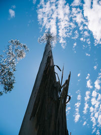 Low angle view of a tree against blue sky