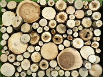 Full frame shot of firewood wood in forest