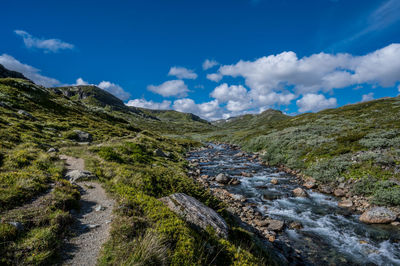 Stream mjolga near toviken, norway