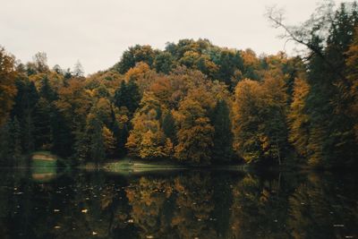 Scenic view of lake in forest during autumn