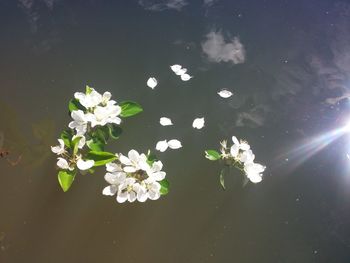 Scenic view of lake