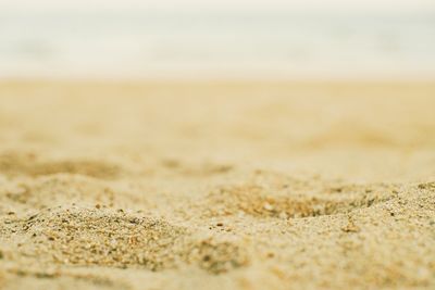 Surface level of sand on beach