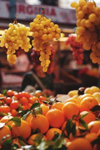 Close-up of fruits for sale in market