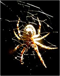 Close-up of illuminated lamp