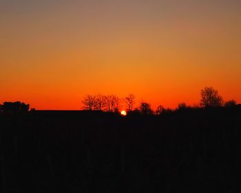 Silhouette trees on landscape against orange sky