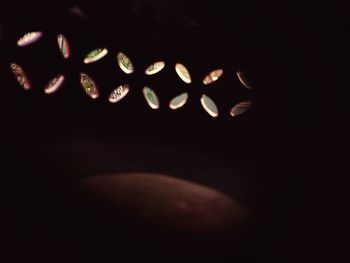 Close-up of illuminated lamp in darkroom