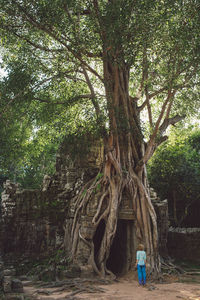 Rear view of woman standing outside historic temple