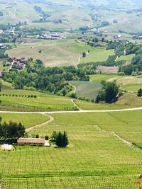 High angle view of agricultural field