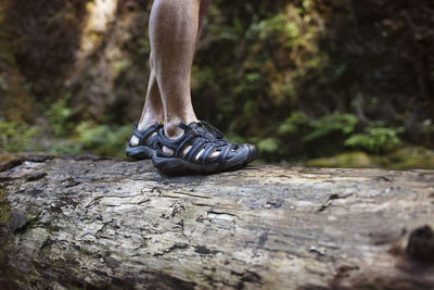 Low section of man walking on log in forest