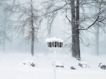 Snow covered trees against sky