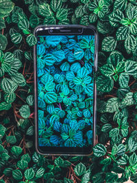 High angle view of mobile phone outdoors