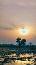 Scenic view of field against sky during sunset