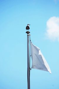 Low angle view of bird perching on blue sky