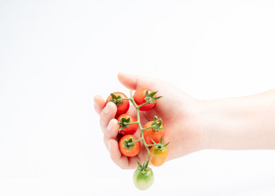 Midsection of person holding fruit against white background