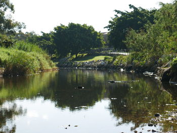 Scenic view of lake