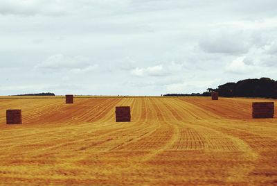 Hay bales on field against sky