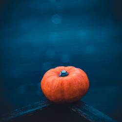 High angle view of pumpkins on table